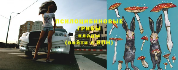 ECSTASY Балабаново